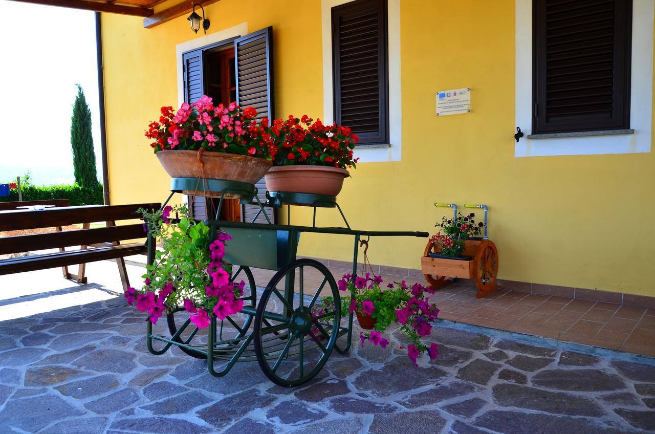Agriturismo L'impero Santa Luce Esterno foto